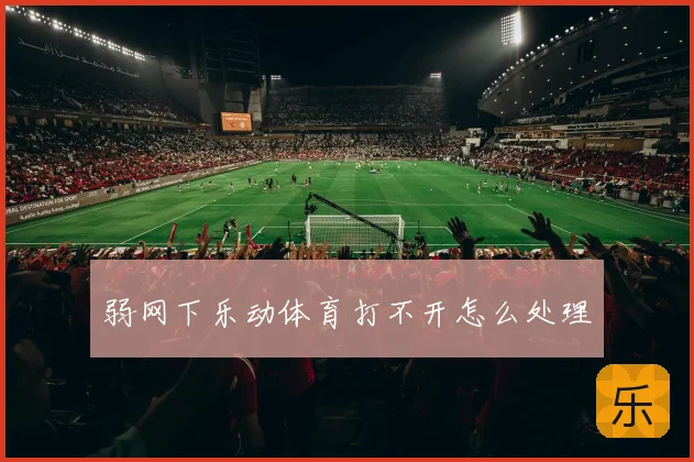 弱网下乐动体育打不开怎么处理